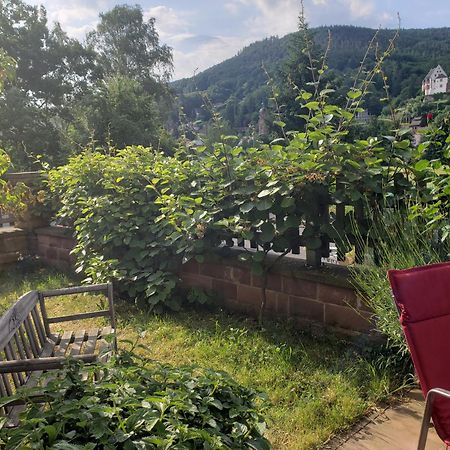 Panorama-Blick Miltenberg, 3 Pers., Zentr., Am Main, Terrasse, Bootverleih, P Exterior photo