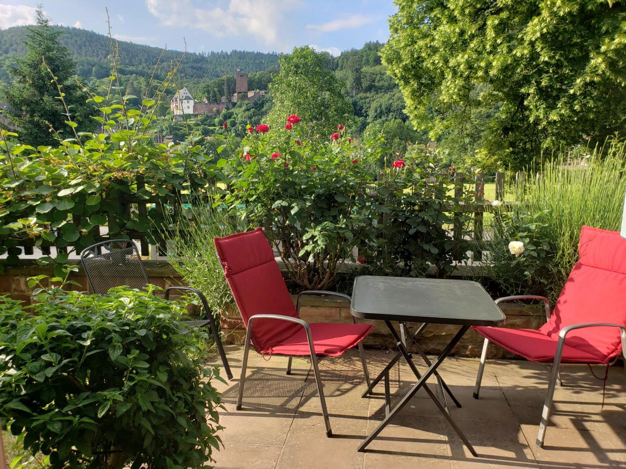 Panorama-Blick Miltenberg, 3 Pers., Zentr., Am Main, Terrasse, Bootverleih, P Exterior photo