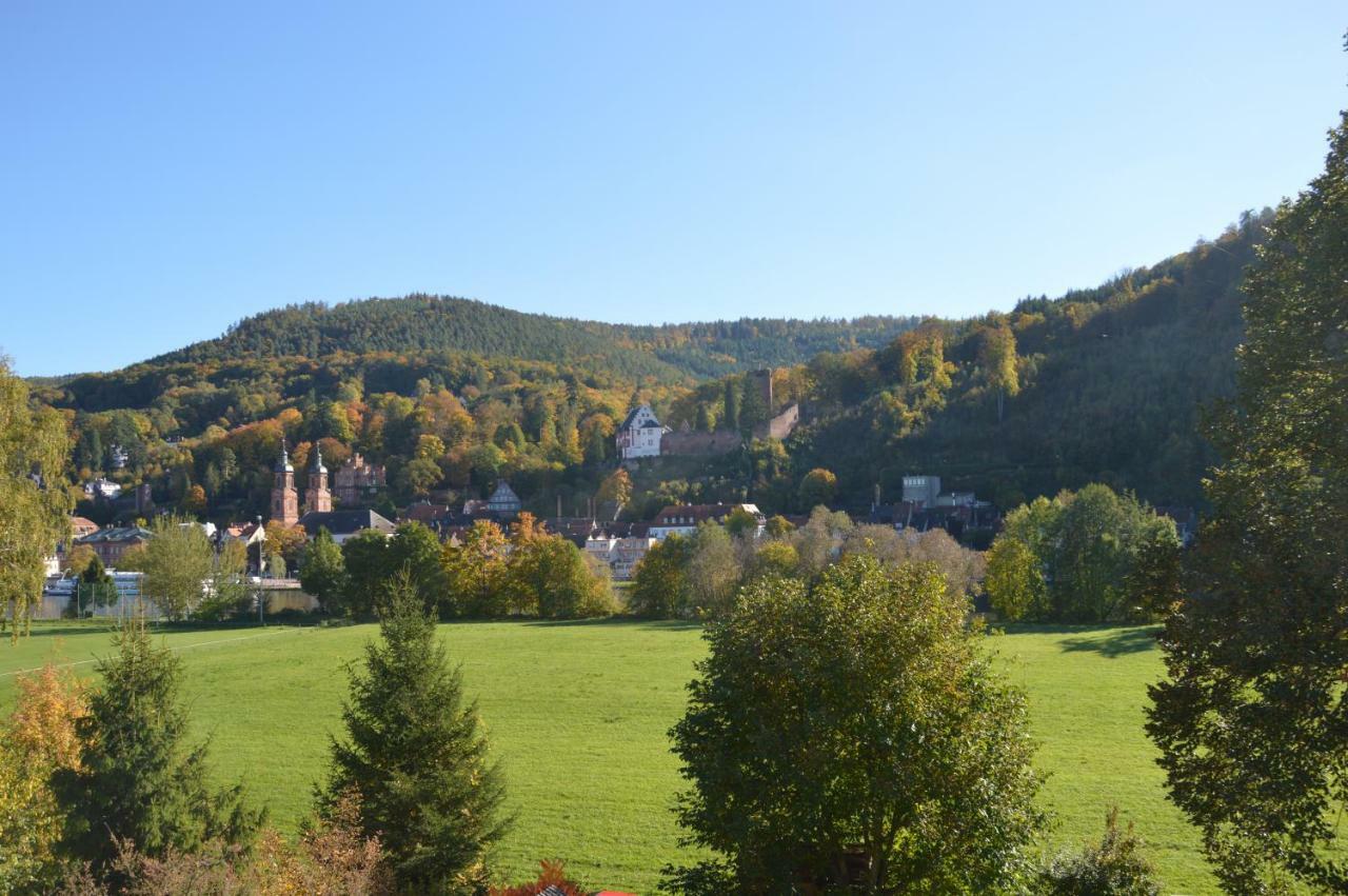 Panorama-Blick Miltenberg, 3 Pers., Zentr., Am Main, Terrasse, Bootverleih, P Exterior photo