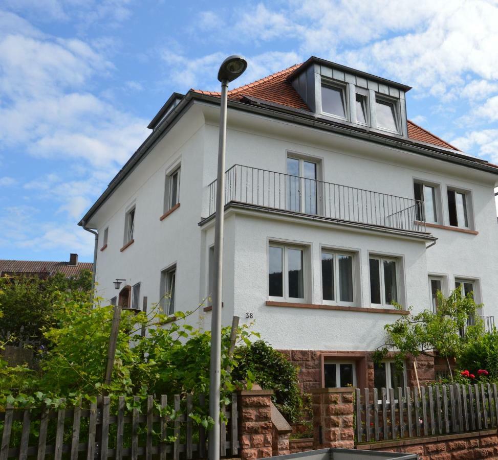 Panorama-Blick Miltenberg, 3 Pers., Zentr., Am Main, Terrasse, Bootverleih, P Exterior photo