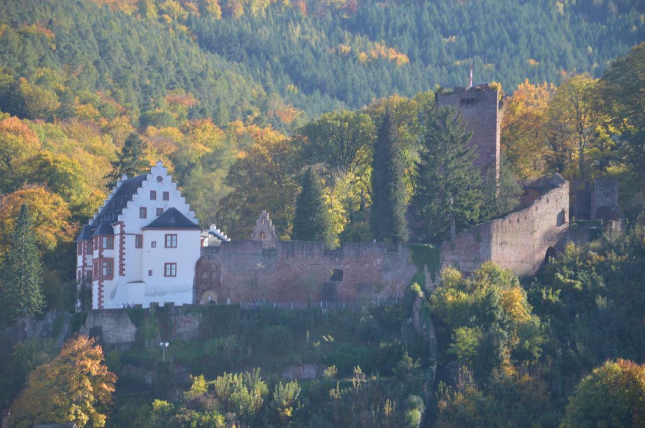 Panorama-Blick Miltenberg, 3 Pers., Zentr., Am Main, Terrasse, Bootverleih, P Exterior photo
